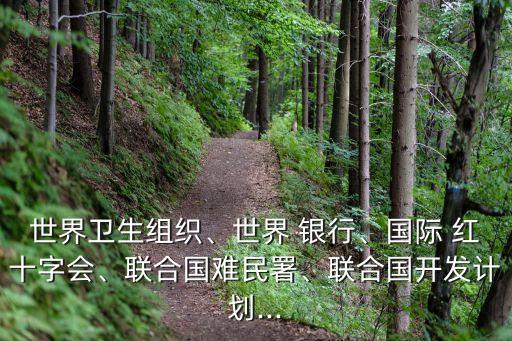 世界衛(wèi)生組織、世界 銀行、國際 紅十字會(huì)、聯(lián)合國難民署、聯(lián)合國開發(fā)計(jì)劃...