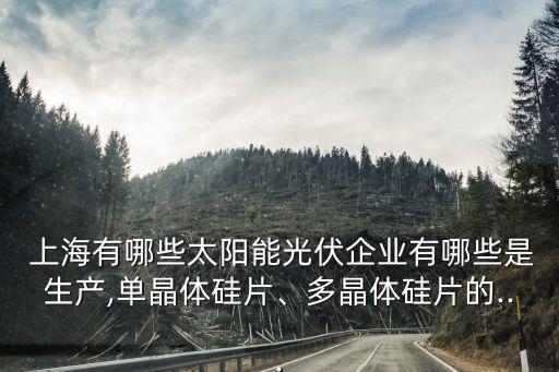 上海有哪些太陽能光伏企業(yè)有哪些是生產(chǎn),單晶體硅片、多晶體硅片的...