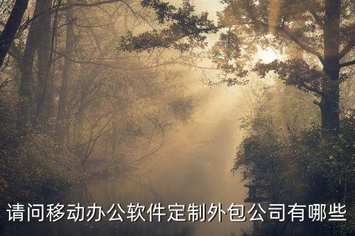 請問移動(dòng)辦公軟件定制外包公司有哪些