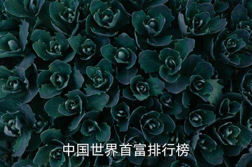 2012年中國經(jīng)濟人物,中國經(jīng)濟地方人物