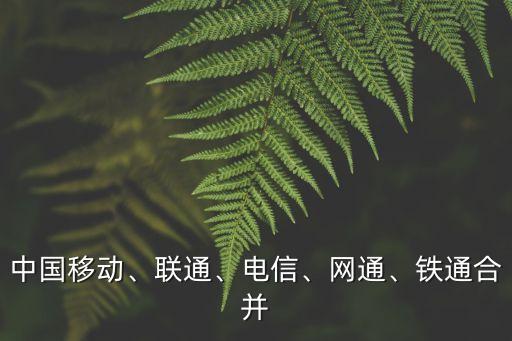 中國移動、聯(lián)通、電信、網(wǎng)通、鐵通合并