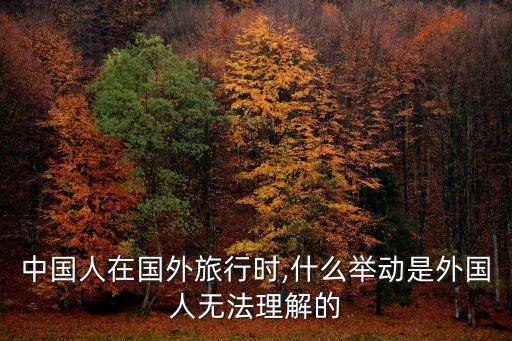 中國(guó)人在國(guó)外旅行時(shí),什么舉動(dòng)是外國(guó)人無(wú)法理解的