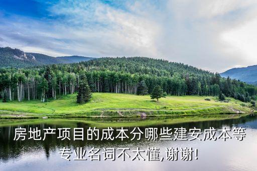  房地產(chǎn)項目的成本分哪些建安成本等專業(yè)名詞不太懂,謝謝!