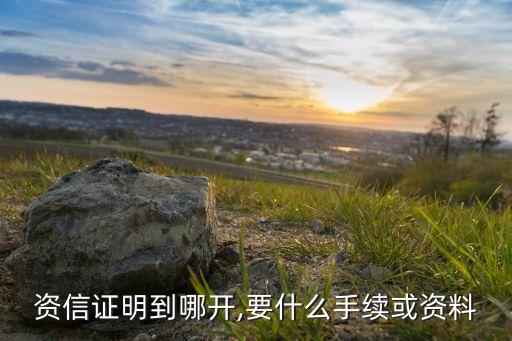 資信證明到哪開,要什么手續(xù)或資料