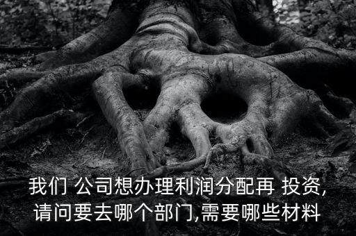 我們 公司想辦理利潤(rùn)分配再 投資,請(qǐng)問(wèn)要去哪個(gè)部門,需要哪些材料