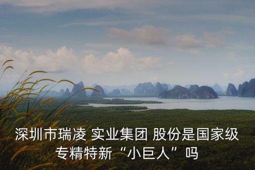 深圳市瑞凌 實業(yè)集團 股份是國家級專精特新“小巨人”嗎