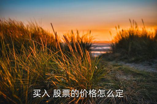 買(mǎi)入 股票的價(jià)格怎么定