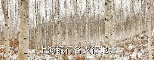  上海銀行各支行地址