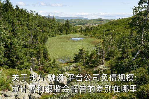 中國地方融資平臺(tái)貸款,地方融資平臺(tái)貸款償還本息怎么算