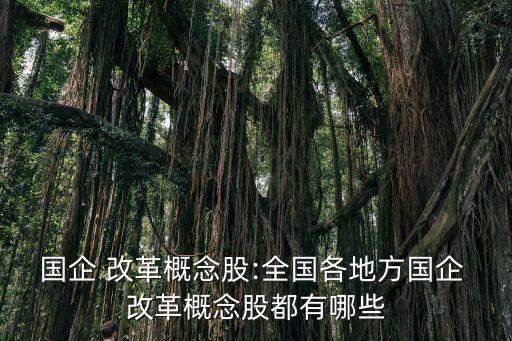 盤(pán)江股份母公司國(guó)資改革