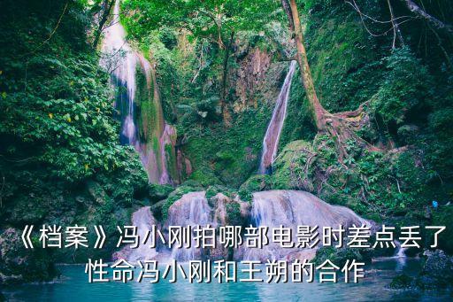 《檔案》馮小剛拍哪部電影時差點丟了性命馮小剛和王朔的合作