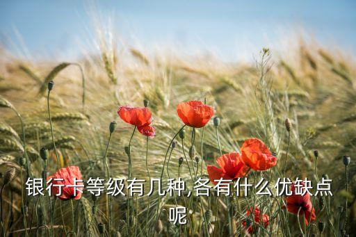 各銀行高端借記卡比較,哪個(gè)銀行的高端借記卡權(quán)益好