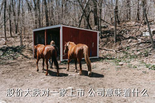 股價(jià)大跌對一家上市 公司意味著什么
