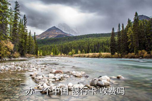 辦一個(gè)中國(guó) 銀行卡 收費(fèi)嗎