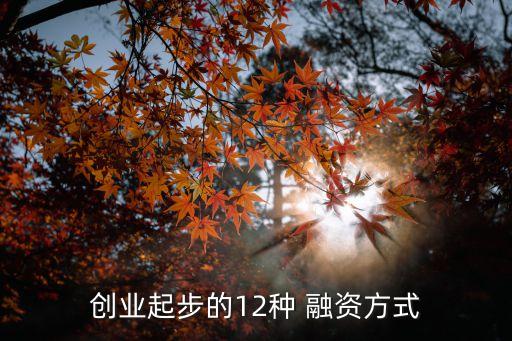 中小企業(yè)融資擔?；?邵陽市中小企業(yè)融資擔保有限責任公司