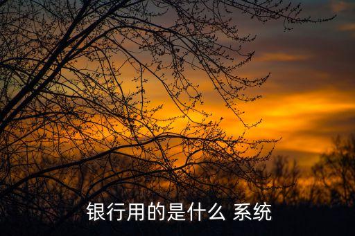 銀行有哪些業(yè)務系統(tǒng),銀行現(xiàn)金業(yè)務包括哪些內容