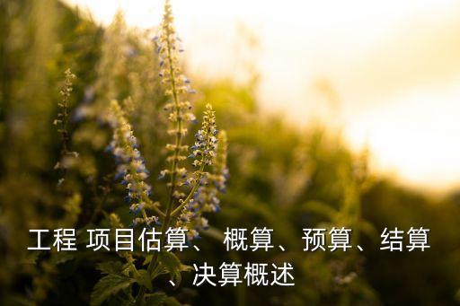 工程 項(xiàng)目估算、 概算、預(yù)算、結(jié)算、決算概述