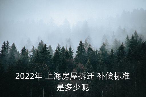 上海動遷貨幣補(bǔ)償,動遷貨幣補(bǔ)償與動遷房
