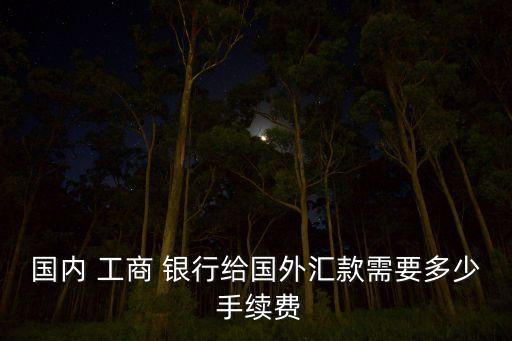 國內(nèi) 工商 銀行給國外匯款需要多少 手續(xù)費(fèi)