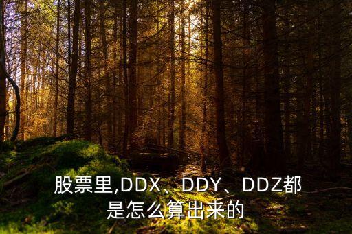  股票里,DDX、DDY、DDZ都是怎么算出來的