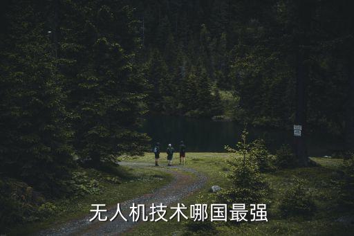  無人機技術(shù)哪國最強