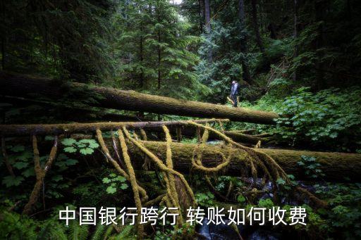  中國銀行跨行 轉(zhuǎn)賬如何收費(fèi)