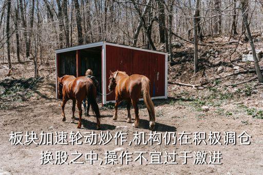 板塊加速輪動(dòng)炒作,機(jī)構(gòu)仍在積極調(diào)倉(cāng)換股之中,操作不宜過(guò)于激進(jìn)