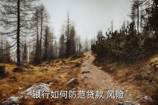 商業(yè)銀行信貸審批中的主要風險及對策