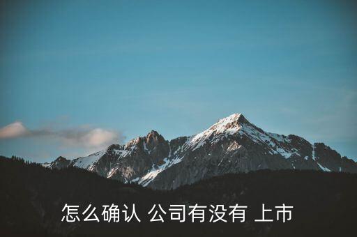怎么確認 公司有沒有 上市