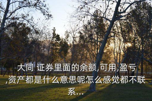  大同 證券里面的余額,可用,盈虧,資產(chǎn)都是什么意思呢怎么感覺(jué)都不聯(lián)系...