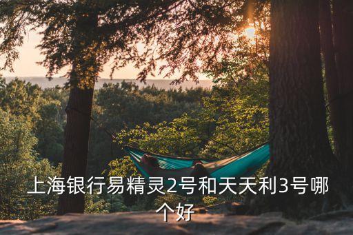  上海銀行易精靈2號和天天利3號哪個(gè)好