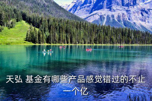 天弘 基金有哪些產(chǎn)品感覺錯(cuò)過的不止一個(gè)億