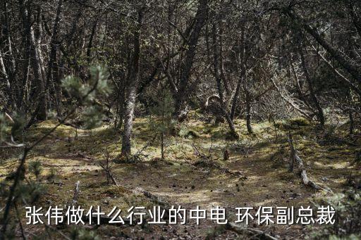 中電加美環(huán)?？萍脊煞萦邢薰?安徽中電環(huán)?？萍脊煞萦邢薰?/></a></span><span id=