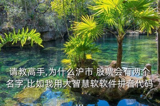 請教高手,為什么滬市 股票會(huì)有兩個(gè)名字,比如我用大智慧軟軟件拼音代碼...