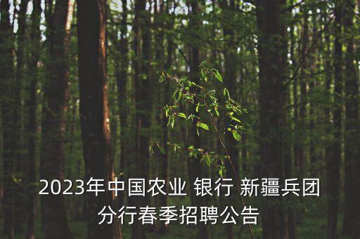 2023年中國農(nóng)業(yè) 銀行 新疆兵團分行春季招聘公告