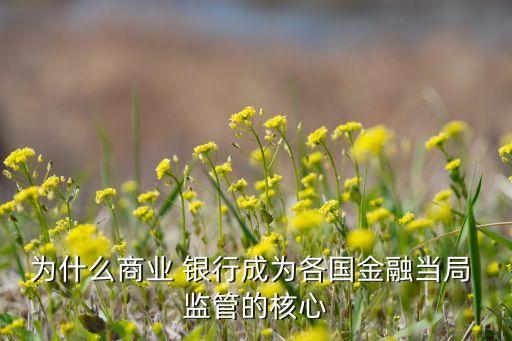 為什么商業(yè) 銀行成為各國(guó)金融當(dāng)局 監(jiān)管的核心