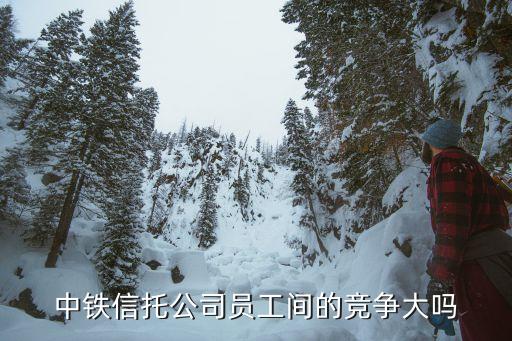 中國(guó)信托業(yè)協(xié)會(huì)待遇,劉躍林 信托業(yè)協(xié)會(huì)
