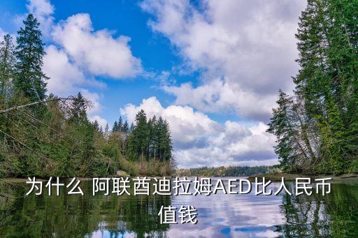 為什么 阿聯(lián)酋迪拉姆AED比人民幣值錢(qián)