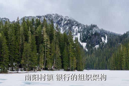 南陽銀行股份有限公司,南陽防爆電機集團股份有限公司