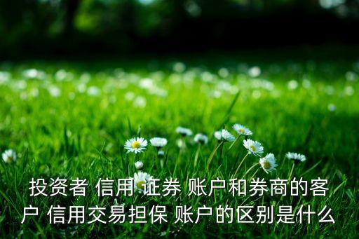 投資者 信用 證券 賬戶和券商的客戶 信用交易擔保 賬戶的區(qū)別是什么