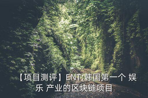 【項(xiàng)目測評】ENT:韓國第一個(gè) 娛樂 產(chǎn)業(yè)的區(qū)塊鏈項(xiàng)目