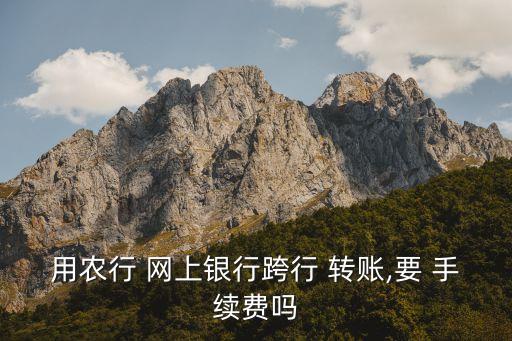中國(guó)農(nóng)業(yè)銀行網(wǎng)上轉(zhuǎn)賬要手續(xù)費(fèi)