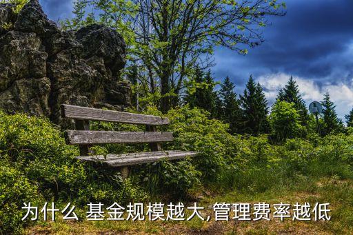 為什么 基金規(guī)模越大,管理費率越低