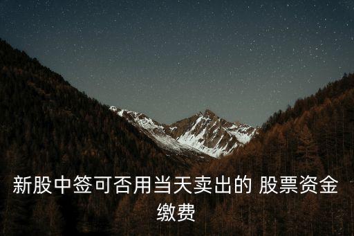 新股中簽可否用當天賣出的 股票資金繳費