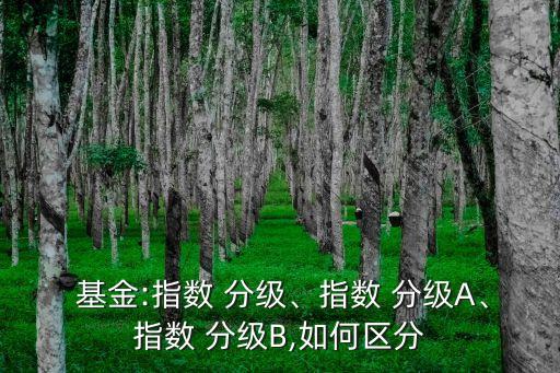  基金:指數(shù) 分級、指數(shù) 分級A、指數(shù) 分級B,如何區(qū)分