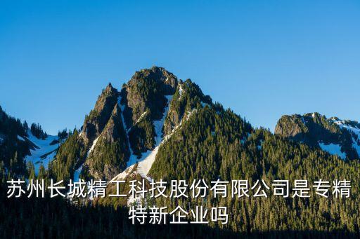 蘇州長(zhǎng)城精工科技股份有限公司是專(zhuān)精特新企業(yè)嗎