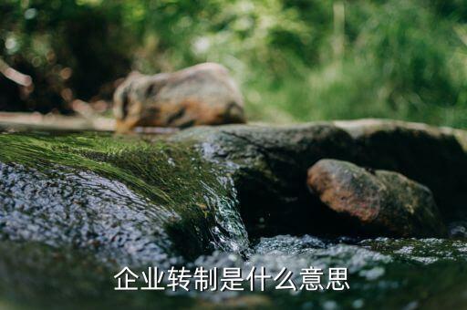企業(yè)轉制是什么意思