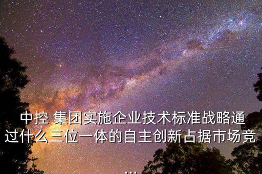  中控 集團實施企業(yè)技術(shù)標(biāo)準(zhǔn)戰(zhàn)略通過什么三位一體的自主創(chuàng)新占據(jù)市場競...