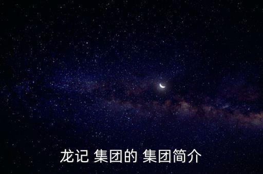 龍記 集團的 集團簡介