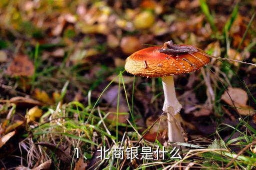 1、北商銀是什么